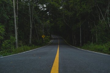 Road way to nature in national park, exploration, journey or adventure in rainforest, Asphalt road in natural area, environmental inspiration green background, concept of Earth day, travel destination