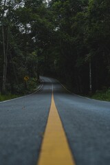 Road way to nature in national park, exploration, journey or adventure in rainforest, Asphalt road in natural area, environmental inspiration green background, concept of Earth day, travel destination