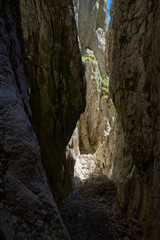 Dried up river bed