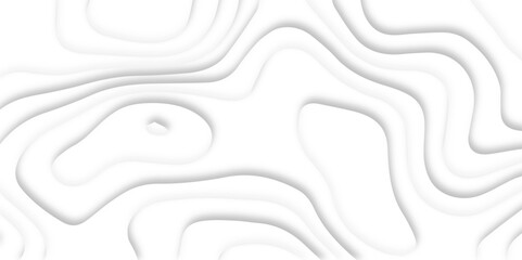 Abstract paper carve template. abstract white and gray 3d papercut topography relief vector background illustration. topographic canyon geometric map relief texture with curved layers and shadow.
