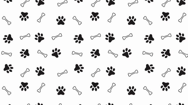 dog paw, cat paw print isolated on white background. 4k animated video seamless pattern
