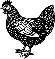 hen silhouette illustration Design on a white background