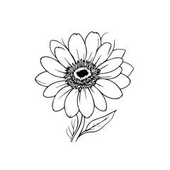 isolated on white background. Flower simple Vector illustration.