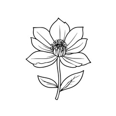 isolated on white background. Flower simple Vector illustration.