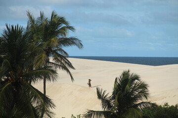 mulher entre coqueiros nas dunas da barrinha, cear&aacute;