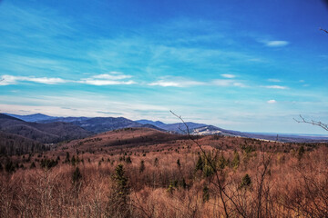 Fototapeta premium Landscapes - Forest - Europe, Romania, Suceava region