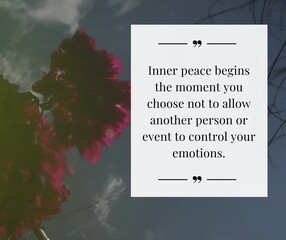 Inner peace begins the moment you choose not to allow another person or event to control your...