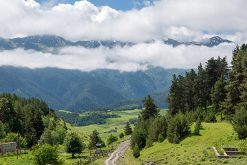 landscape in the mountains