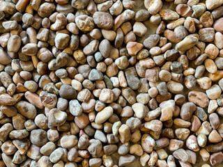 Colorful pebbles or pebble stones as decorative material on landscape garden or park, pebbles are good choice for quartz decoration in gardening.