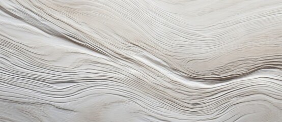 Obraz premium White wood texture background with natural grain patterns.
