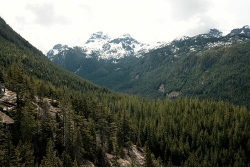 Scenic view of Rocky Mountains, British Columbia, Canada