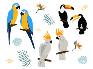 Set with exotic birds. Pairs of parrots, cockatoos, macaws, toucans on a branch. Vector graphics.