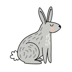 Vector drawing of a funny gray hare with pink cheeks and closed eyes. Cute baby illustration isolated on white background