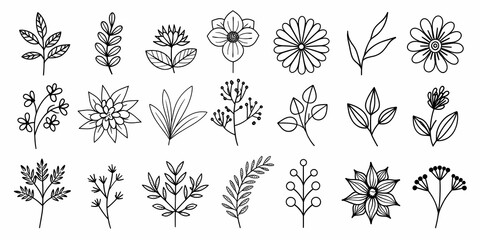 Beautiful floral element collection with various botanical and leaf designs