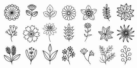 Beautiful floral element collection with various botanical and leaf designs