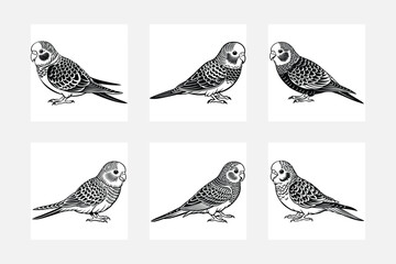 Obraz premium collection of birds vector illustration