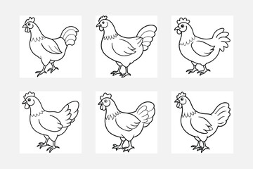 set of chicken