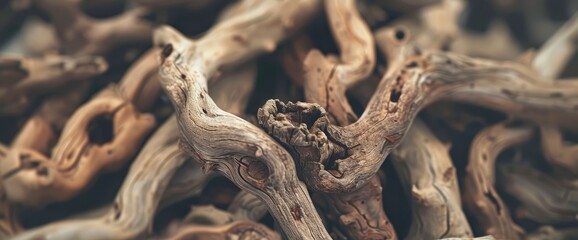 Fototapeta premium Pile of driftwood, evoking a natural and rustic feel