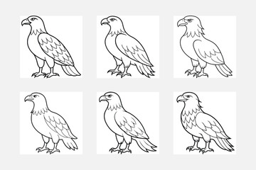 Coloring page outline of cute eagle set black and white animals vector illustration