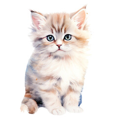 A fluffy white kitten with blue eyes sits and stares at the camera.  The kitten is adorable and perfect for a pet or animal lover.