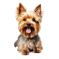 A cute Yorkshire Terrier with its tongue sticking out, looking happy and playful.