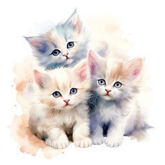 Fototapeta premium Three adorable fluffy kittens with blue eyes huddled together.