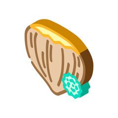 tree nuts allergen free product food isometric icon vector. tree nuts allergen free product food sign. isolated symbol illustration