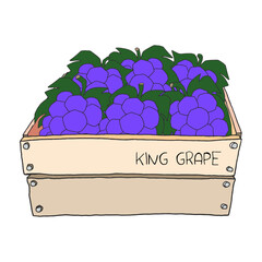 Fresh organic healthy fruit grapes in a wooden box