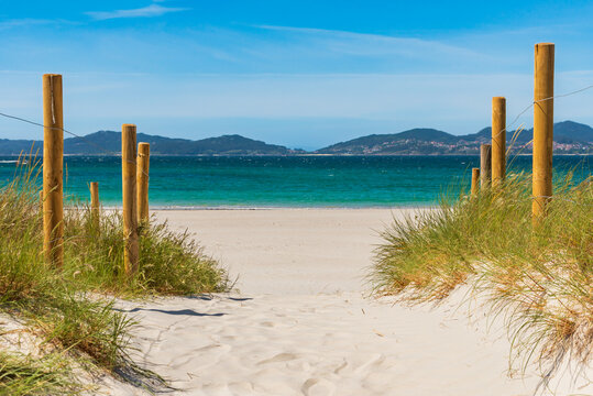 Path between the dunes of Samil beach in the Vigo estuary, in the background the region of Morrazo, Pontevedra.