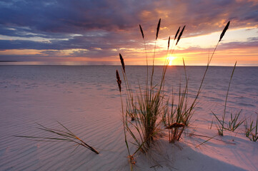 Bałtyk, plaża, zachód słońca, lato, Kołobrzeg, Polska