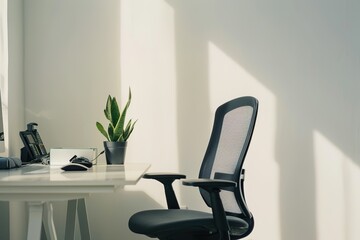 Ergonomic chair at a simple desk with a potted plant