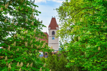 church in the woods,  Eisenstadt, Burgenland, Austria, Europe, May 1st 2024