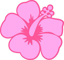 Hibiscus Flower Illustration