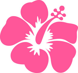 Hibiscus Flower Illustration