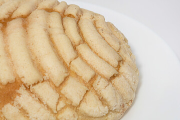 pan concha blanca, panaderia, pan, vainilla, pan artesanal, pan dulce, pan mexicano