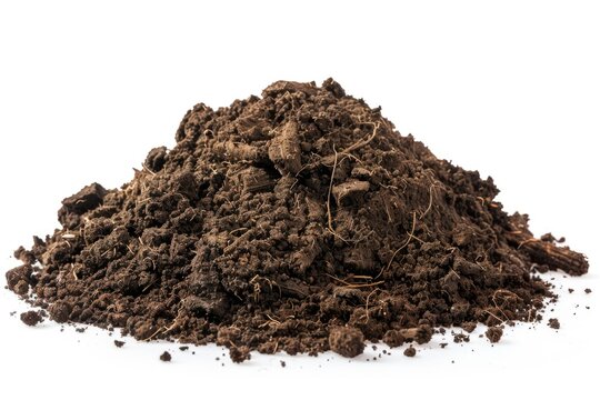 A close-up shot of a pile of dirt on a white surface, suitable for use in still life photography or as a texture reference
