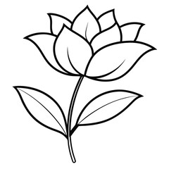 Flower silhouette with white background