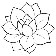 Flower silhouette with white background