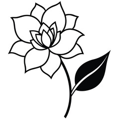 Flower silhouette with white background