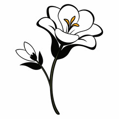 A branch of a freesia flower vector illustration 
