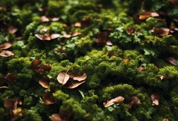 pattern tree branch woodland green forest camouflage wood nature