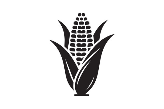 recommend clip art: silhouette of corn, corn icon, Concept for organic products label