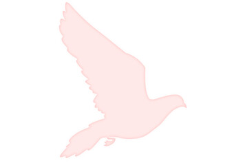 Rosa Taubensilhouette auf transparentem Hintergrund