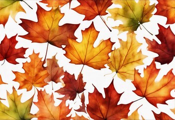 Fototapeta premium set watercolor olated illustration autumn foliage leaves maple leaf background white