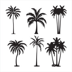 Tropical palm trees set silhouette white background
