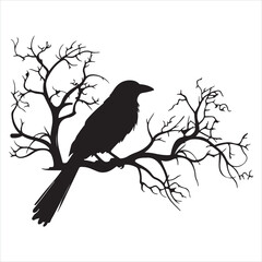 Ominous raven sitting on a bare tree branch silhouette white background
