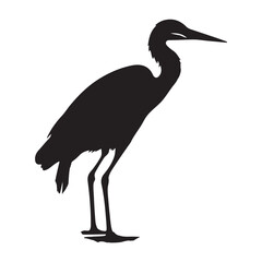 Fototapeta premium Heron standing on one leg silhouette white background 