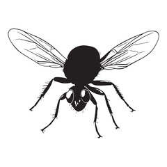 Bee silhouette white background
