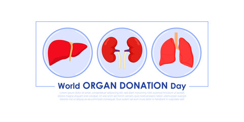 Vector illustration of World Organ Donation Day social media feed template