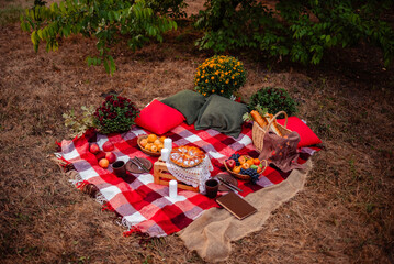 Autumn picnic on a red plaid with flowers in the forest. The photophone. The scenery for the shooting
